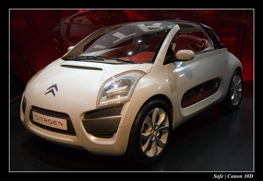 2006 - 10 - Mondial auto Paris 317